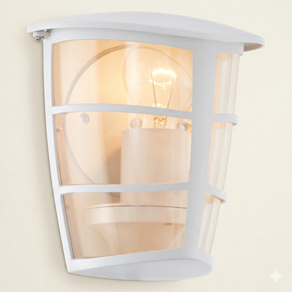 Eglo Aloria Outdoor Wall & Ceiling Light - Waterproof Aluminum E27 Flush Mount (93403)