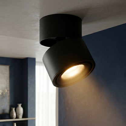 12W LED Surface Mounted Spotlight - 360° Rotatable Indoor COB Accent Light (Warm White)