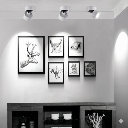 12W LED Surface Mounted Spotlight - 360° Rotatable COB Ceiling Light (Cool White 6000K)