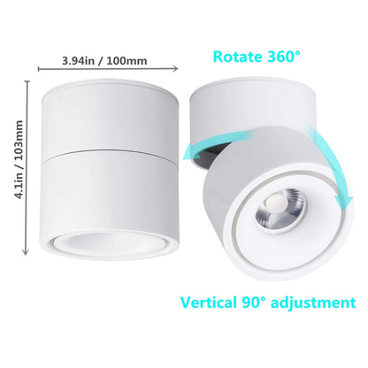12W LED Surface Mounted Spotlight - 360° Rotatable COB Ceiling Light (Cool White 6000K)