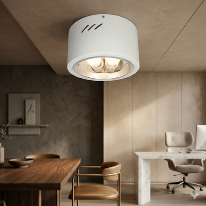 IP44 Cylinder Surface Mounted Downlight - Modern Round Ceiling Spotlight (190x210mm)