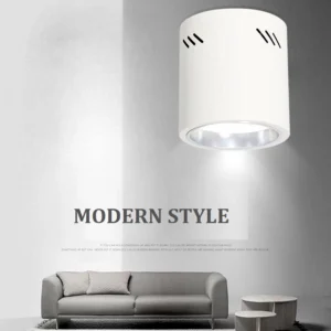 Cylinder Shape Surface Downlight Spot Light IP44 Living Room Washroom Office Ceiling Light EGYCYLINDER-190X210