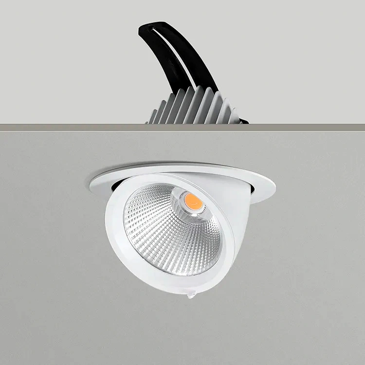 High Color Rendering 20W 6000K Clothing Store Led Spotlights, Adjustable COB Trunk Lights, Storefront Recessed Ceiling Lights, Commercial Shop Lamps Elsewedy ES-0119